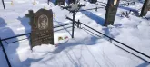 Захоронение ID 1252926