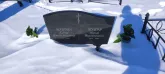 Захоронение ID 1253073