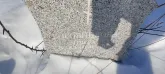Захоронение ID 1253160
