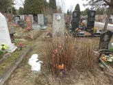 Захоронение ID 1253226