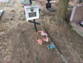 Захоронение ID 1253298