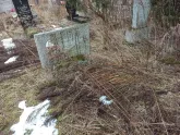 Захоронение ID 1253413