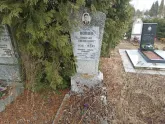 Захоронение ID 1253429