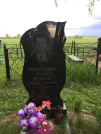 Захоронение ID 1253864