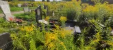 Захоронение ID 1267927