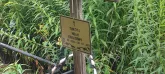 Захоронение ID 1268004