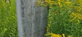Захоронение ID 1268042