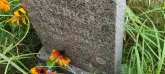 Захоронение ID 1268045
