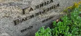 Захоронение ID 1272724