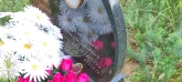 Захоронение ID 1272732