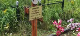 Захоронение ID 1272789