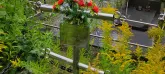 Захоронение ID 1272804
