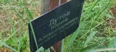 Захоронение ID 1272828