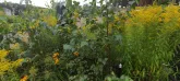 Захоронение ID 1272835
