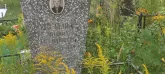 Захоронение ID 1271042