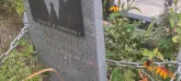Захоронение ID 1271051