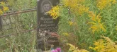 Захоронение ID 1271071