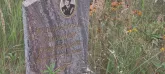 Захоронение ID 1271122