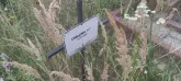 Захоронение ID 1271125