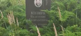 Захоронение ID 1271132