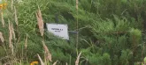 Захоронение ID 1271134