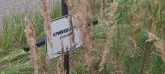 Захоронение ID 1271175