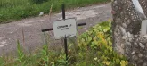Захоронение ID 1271181
