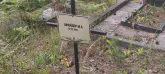 Захоронение ID 1271194