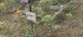 Захоронение ID 1271196