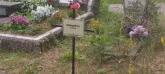 Захоронение ID 1271199