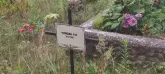 Захоронение ID 1271204