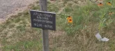 Захоронение ID 1271222