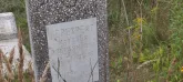 Захоронение ID 1271227