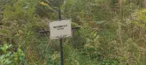 Захоронение ID 1271250