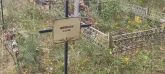 Захоронение ID 1271279
