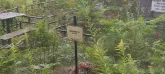 Захоронение ID 1271308