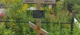 Захоронение ID 1271446