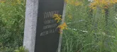 Захоронение ID 1271610