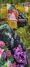 Захоронение ID 1271898