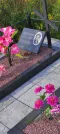 Захоронение ID 1272679