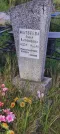 Захоронение ID 1272687
