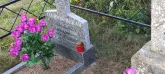 Захоронение ID 1272694