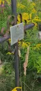 Захоронение ID 1274095