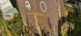 Захоронение ID 1274169