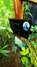 Захоронение ID 1284635