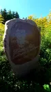 Захоронение ID 1286596