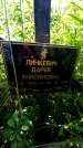 Захоронение ID 1286666