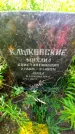 Захоронение ID 1286680