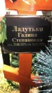 Захоронение ID 1294986