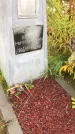Захоронение ID 1295043